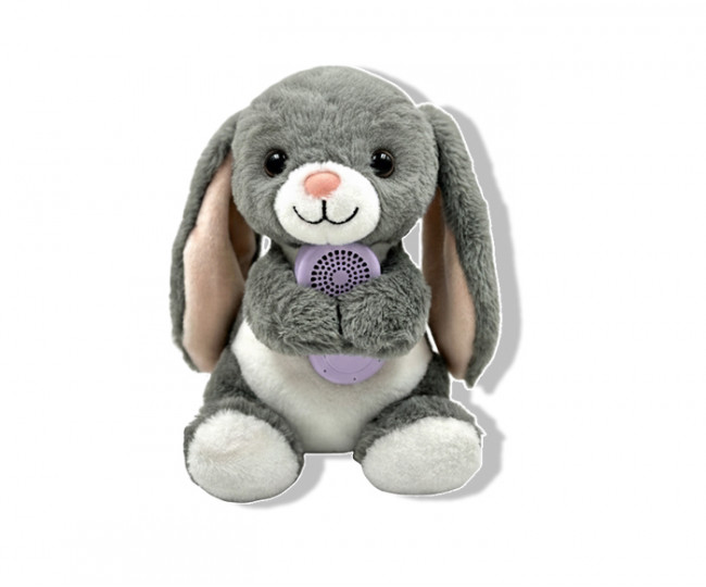 Інтерактивна іграшка Scoobies AI  I'm Pookie